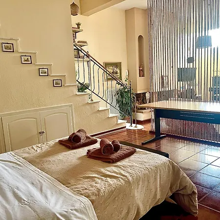 Viverefelix - Modus Operandi