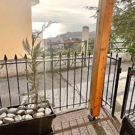 Viverefelix - Modus Operandi Kavala