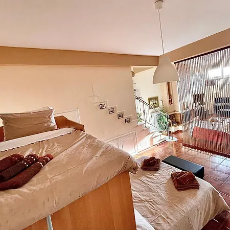 Viverefelix - Modus Operandi *