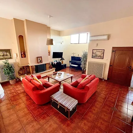 Viverefelix - Modus Operandi * Καβάλα