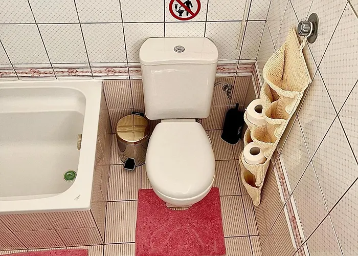 Viverefelix - Modus Operandi Apartman *